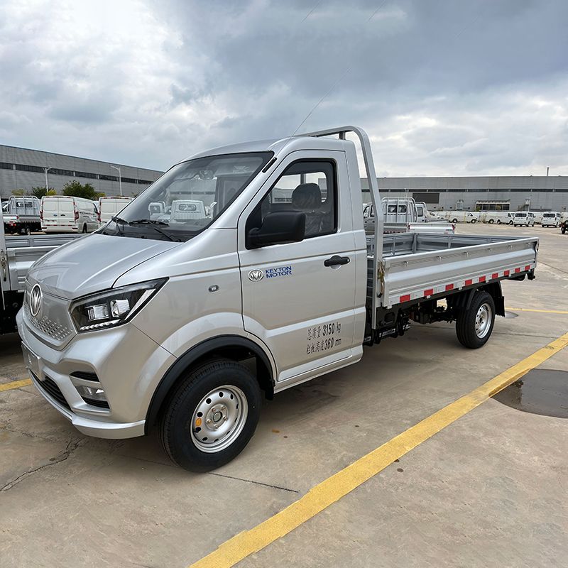 N30 Electric Light Truck